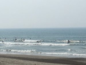 IMG_3252